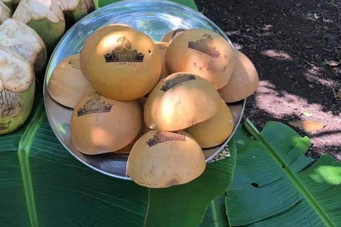 1 Day cocoa farm tour - From Accra to Asamankese at 7:30 am