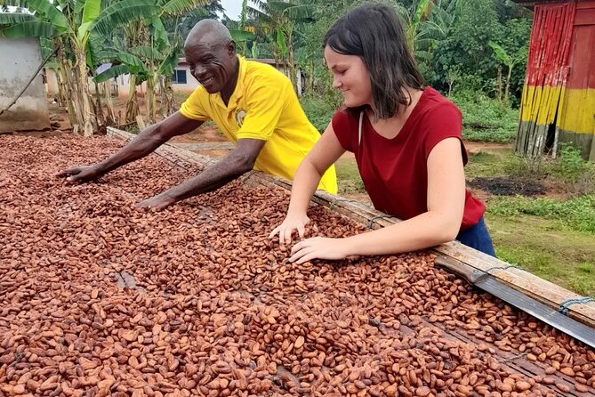 1 Day cocoa farm tour - Lunch, snacks, and the shape of the day