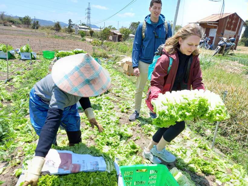 1 Day Easy Rider Tour in Dalat–Villages, Farms & Waterfalls - Key points at a glance