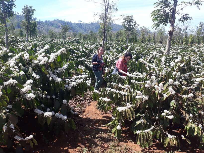 1 Day Easy Rider Tour in Dalat–Villages, Farms & Waterfalls - Why the motorcycle makes Dalat more interesting