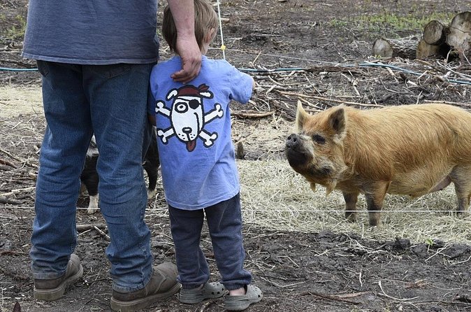 1 Hour Guided Farm Tour in the Adirondacks - Value, timing, and booking flexibility