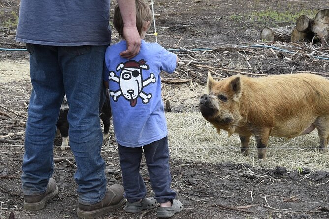 1 Hour Guided Farm Tour in the Adirondacks - What you learn about sustainable farming