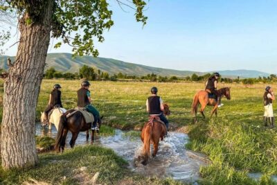 1-Hour Horse Riding Tour at Palomino Ranch Near Tbilisi