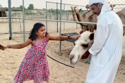 1 Hour Private Quad Biking with 30 minutes Camel Farm Visit