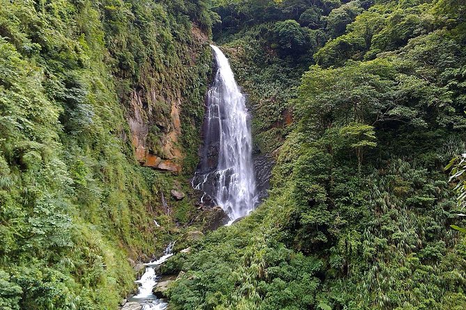 1D Tour to Cingjing Farm from Taichung - From Taichung to Taiwan’s high country