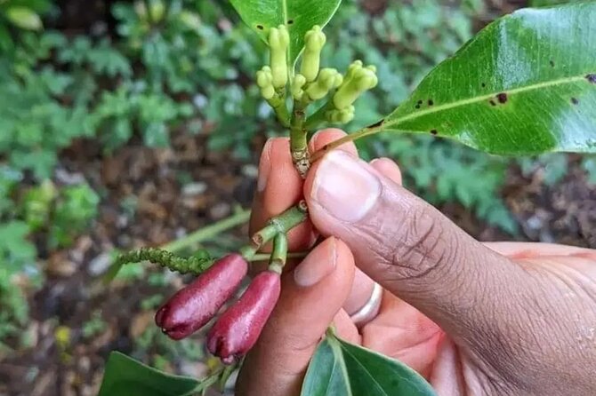 2-Day Zanzibar Adventure: Stone Town & Spice Farm (all-incl.) - Why the small group matters