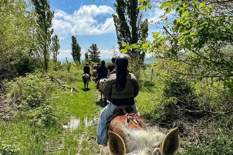 2-hour horse riding tour at Palomino Ranch Near Tbilisi - Leaving Tbilisi for Ferma village