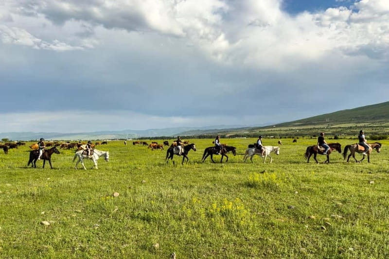 2-hour horse riding tour at Palomino Ranch Near Tbilisi - What first-time riders should know