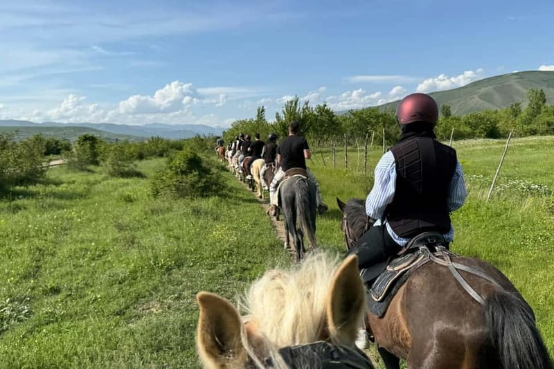 2-hour horse riding tour at Palomino Ranch Near Tbilisi - Who should book this ride?
