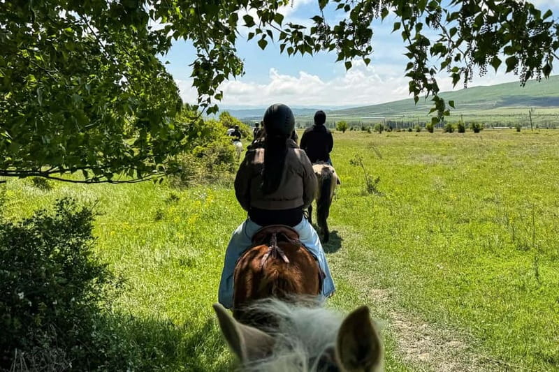 2-hour horse riding tour at Palomino Ranch Near Tbilisi - Meeting your horse and getting comfortable