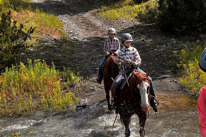 2 Hour Trail Ride in Montana Ranch Country - Cattle, inclines, and the right level of challenge