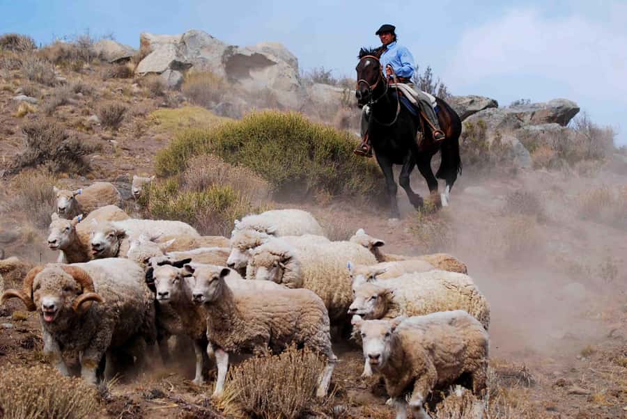 25 DE MAYO FARM - Key points to know before booking