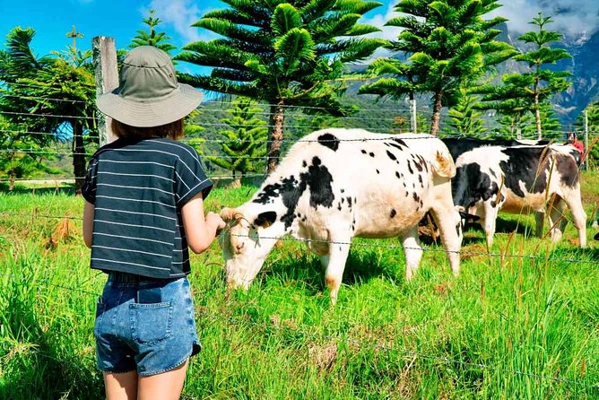 2d1n Kinabalu Park & Poring Canopy Walk & Desa Cow Farm Tour - Key points to know before you book