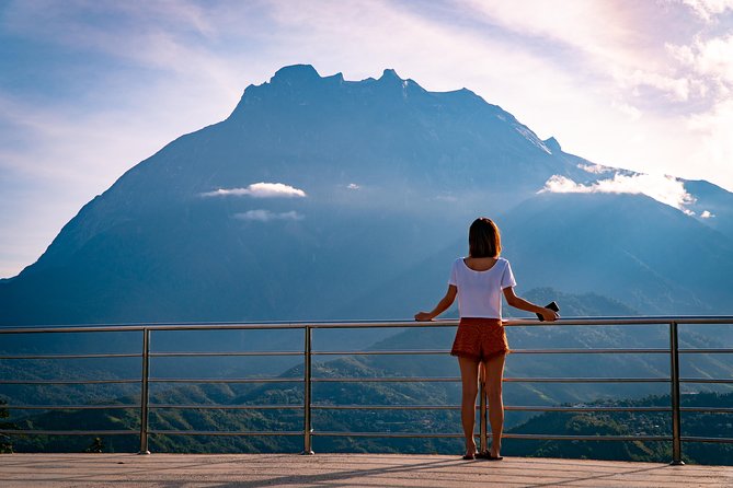2d1n Kinabalu Park & Poring Canopy Walk & Desa Cow Farm Tour - From Kota Kinabalu to Tamparuli and Nabalu