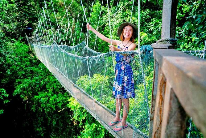2d1n Kinabalu Park & Poring Canopy Walk & Desa Cow Farm Tour - My call: book it for variety, skip it for slow travel