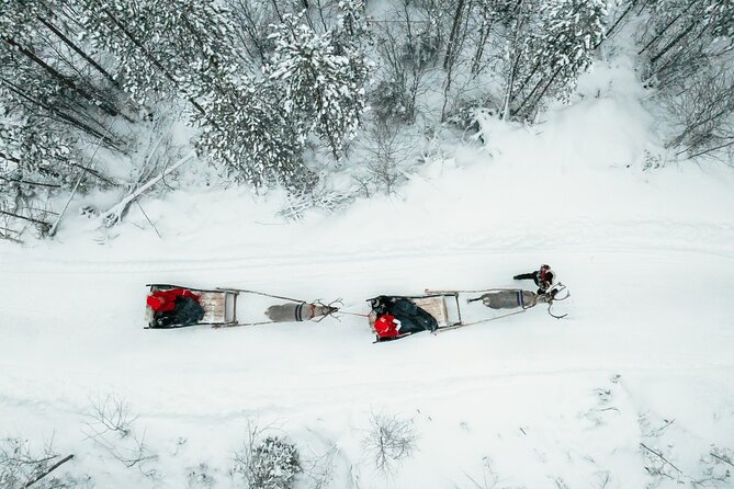 2km Sleigh Ride & Feeding Experience at Traditional Reindeer Farm - Meeting the Herder and Learning About Sami Life