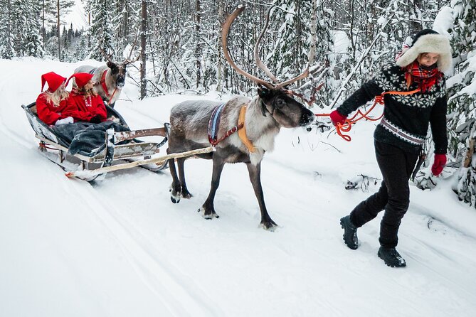 2km Sleigh Ride & Feeding Experience at Traditional Reindeer Farm - A Warm Finish by the Fire