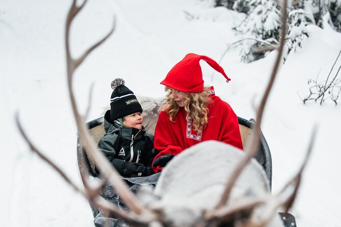 2km Sleigh Ride & Feeding Experience at Traditional Reindeer Farm - The 2km Reindeer Sleigh Ride