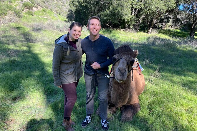 3 Hour Camel Trek into the Forest and Ranch in California - The forest picnic: pizza, strawberries, and a toast