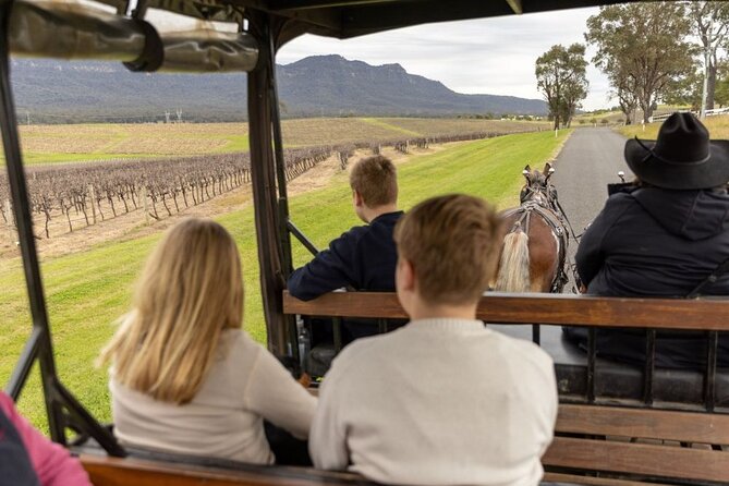 3- Hour Wine and Harvest the Hunter Horse Tour in Pokolbin - Why the horse-drawn carriage changes the Hunter Valley visit