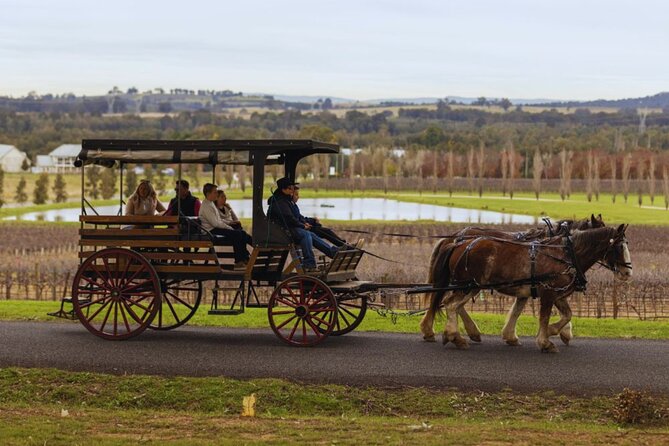 3- Hour Wine and Harvest the Hunter Horse Tour in Pokolbin - The cheese and chocolate stop is the most variable part