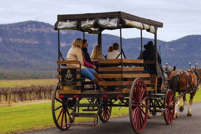3- Hour Wine and Harvest the Hunter Horse Tour in Pokolbin - Families, older adults, and mixed groups