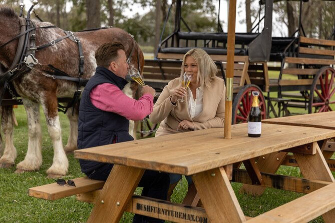 3- Hour Wine and Harvest the Hunter Horse Tour in Pokolbin - What happens at the 426 McDonalds Road meeting point