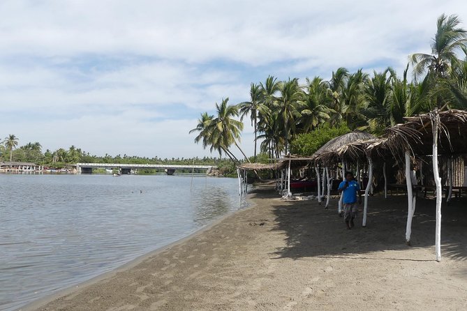 3 Palos Lagoon AfroMex Village Turtle Release & Croc Farm Visit - What $115 includes, and what it does not