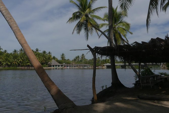3 Palos Lagoon AfroMex Village Turtle Release & Croc Farm Visit - Who will enjoy this day most