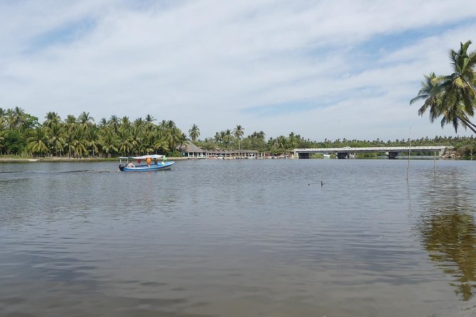 3 Palos Lagoon AfroMex Village Turtle Release & Croc Farm Visit - Final call: book it for variety and the turtle release