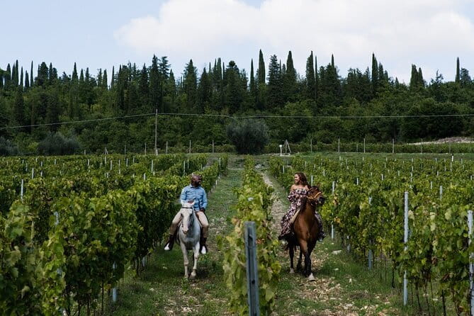 4 WINES TASTING in a Chianti Classico Farm (Visit/tour at the winery included) - Who will enjoy this most?