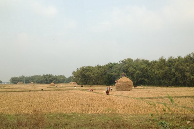 5-Day Private Farming Experience in Nayapul with Accommodation - Leaving Pokhara for Nayapul