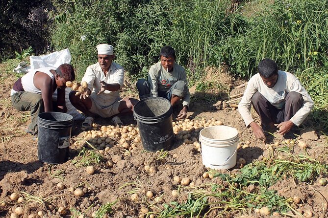 5-Day Private Farming Experience in Nayapul with Accommodation - Four nights in a Nepali family homestay