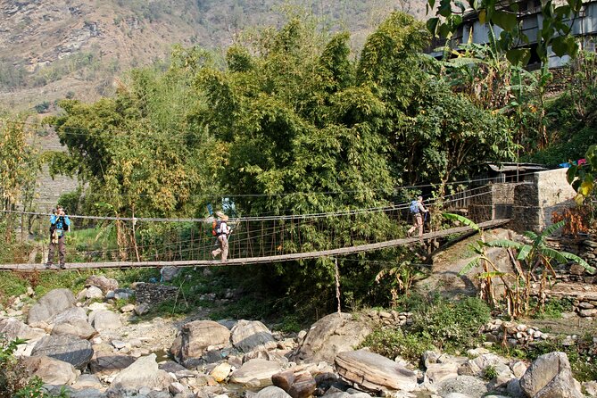 5-Day Private Farming Experience in Nayapul with Accommodation - Day 5: farewell, bus ride, and certificate