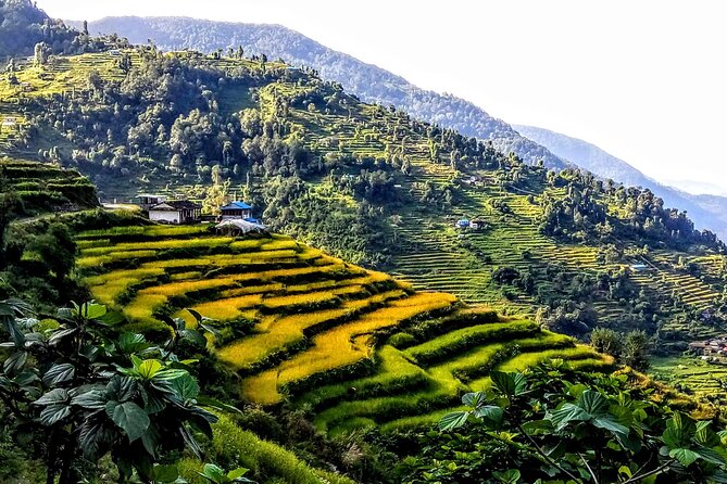 5-Day Private Farming Experience in Nayapul with Accommodation - Is $250 a fair price?