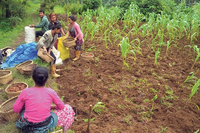 5-Day Private Farming Experience in Nayapul with Accommodation - Day 2: seasonal farming before field practice