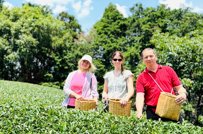 7 Hours Private Guided Tour Uji and Wazuka Matcha Farm - Timing, Comfort, and Practical Limits
