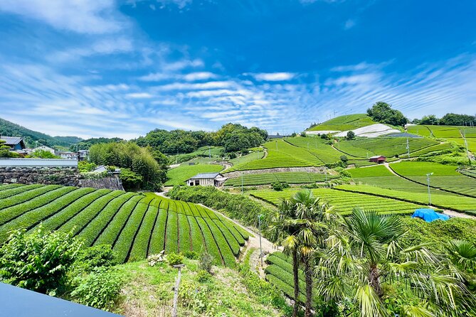 7hr Private Wazuka True Hidden Kyoto Matcha Farm Experience - Walking through two local matcha farms