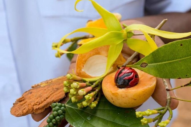 A Half Day Private Tour To Spice Farm - Key points to know before you book