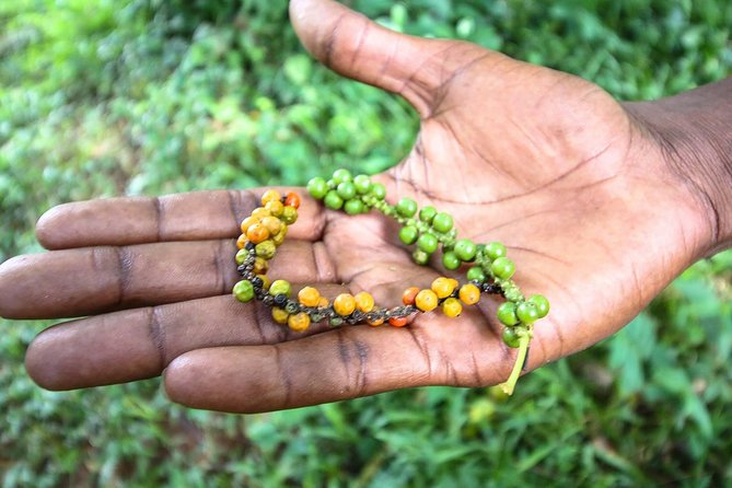 A Half Day Private Tour To Spice Farm - What the spice farm tells you about Zanzibar