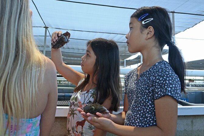 Abalone Farm Tour - Seeing and Holding Live Abalone