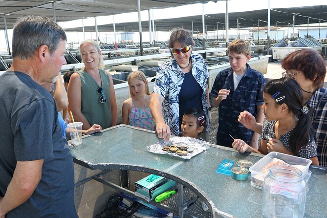 Abalone Farm Tour - Comfort, Weather, and Physical Effort
