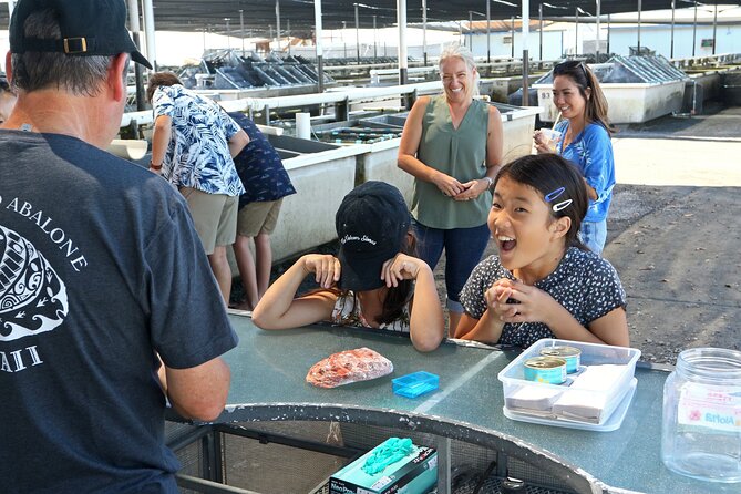 Abalone Farm Tour - Who Will Get the Most from the $35 Price
