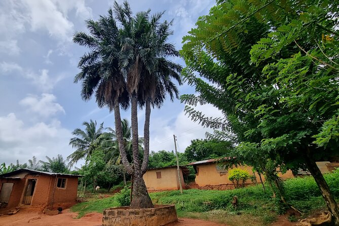 Aburi Botanic Gardens, Boti Falls,Umbrella Rock & Cocoa Farm Tour - Boti Falls and the walk down to the twin cascades