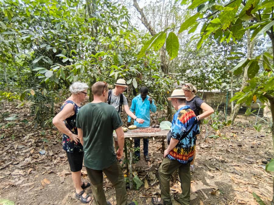 Accra: Aburi Botanical Garden, Cocoa Farm, and Waterfall … - Key points to know before you book