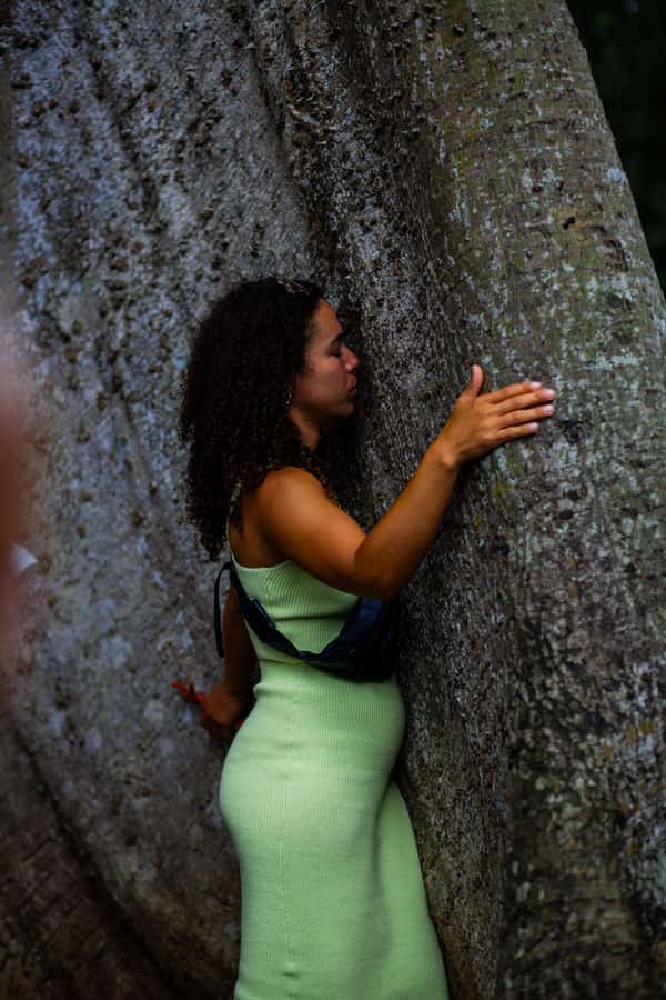 Accra: Aburi Botanical Garden, Cocoa Farm, and Waterfall … - Who will enjoy this Ghana day trip