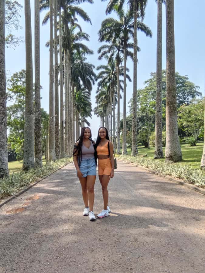 Accra: Aburi Botanical Garden, Cocoa Farm, and Waterfall … - Aburi Botanical Garden and its 1890 origins
