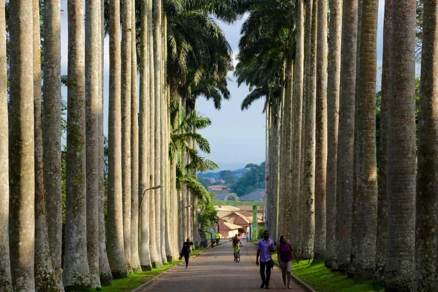 Accra Aburi Eco & Cocoa Experience: Gardens Waterfall &Lunch - Why this Accra day trip works so well