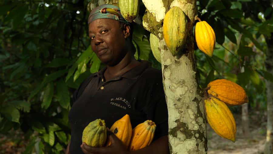 Accra Aburi Eco & Cocoa Experience: Gardens Waterfall &Lunch - Walking through Aburi Botanical Gardens