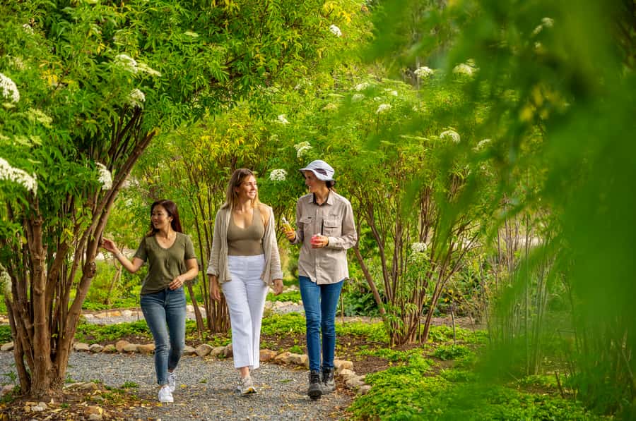 Adelaide Hills: Jurlique Farm Tour - Key points to know before you go